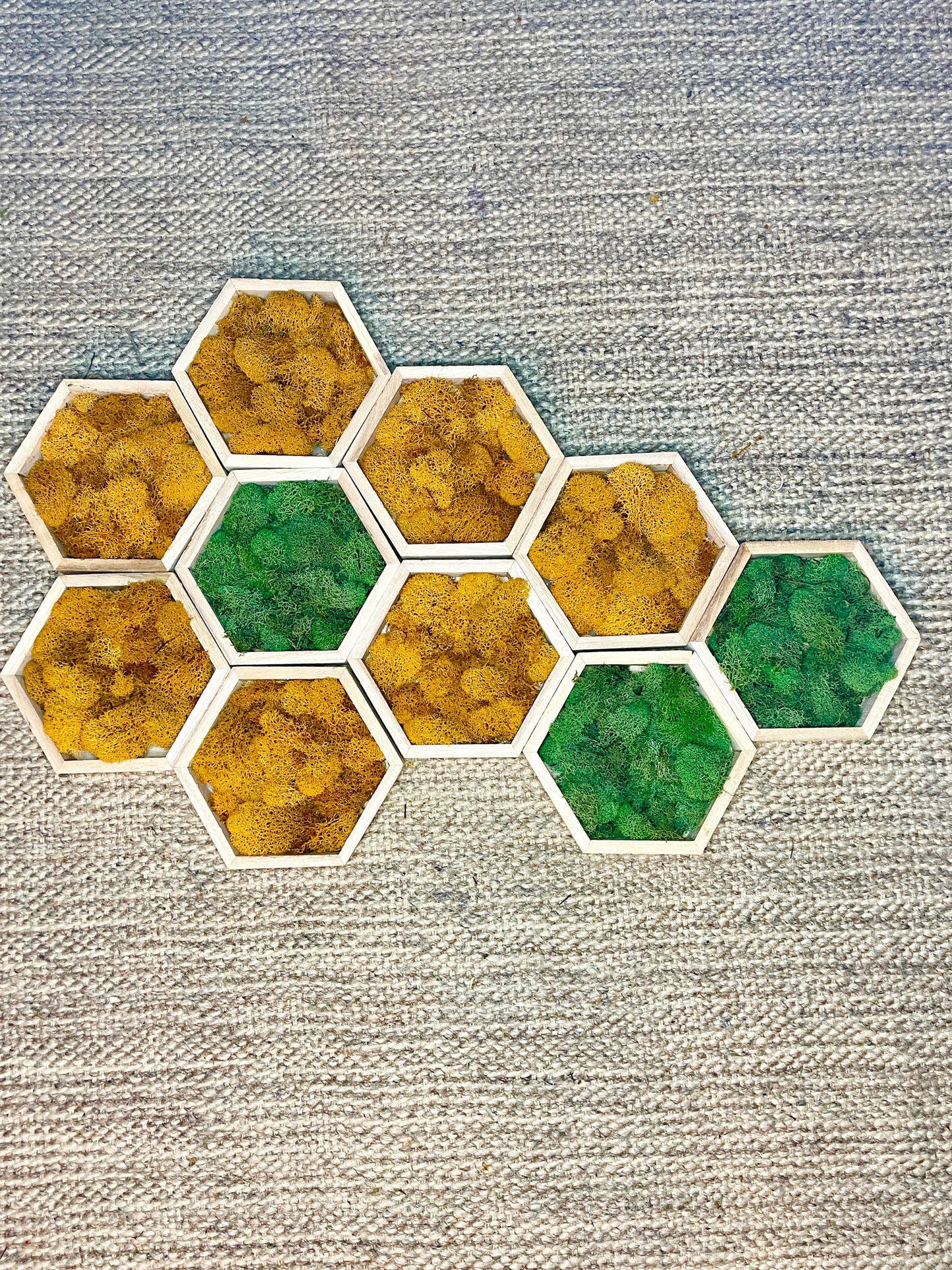 Honeycomb Preserved Moss Wall Art: Vibrant Home Decor | USA - TARIFF FREE