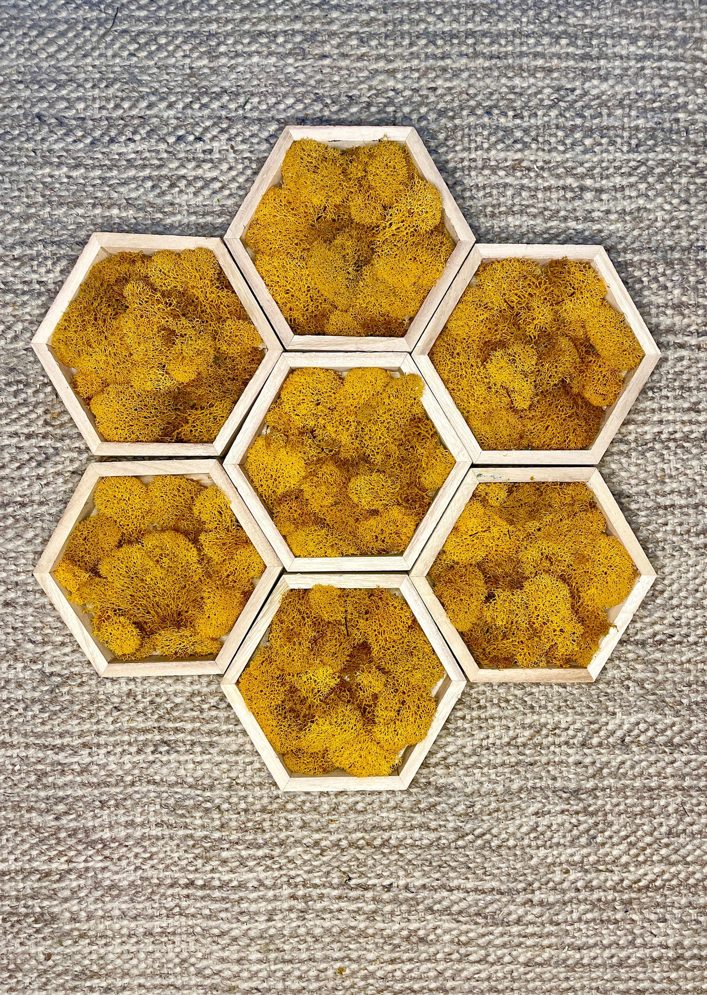 Honeycomb Preserved Moss Wall Art: Vibrant Home Decor | USA - TARIFF FREE