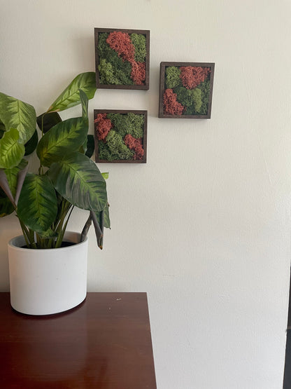 Preserved Reindeer Moss Wall Art: Green & Pink Square Trio | USA - TARIFF FREE