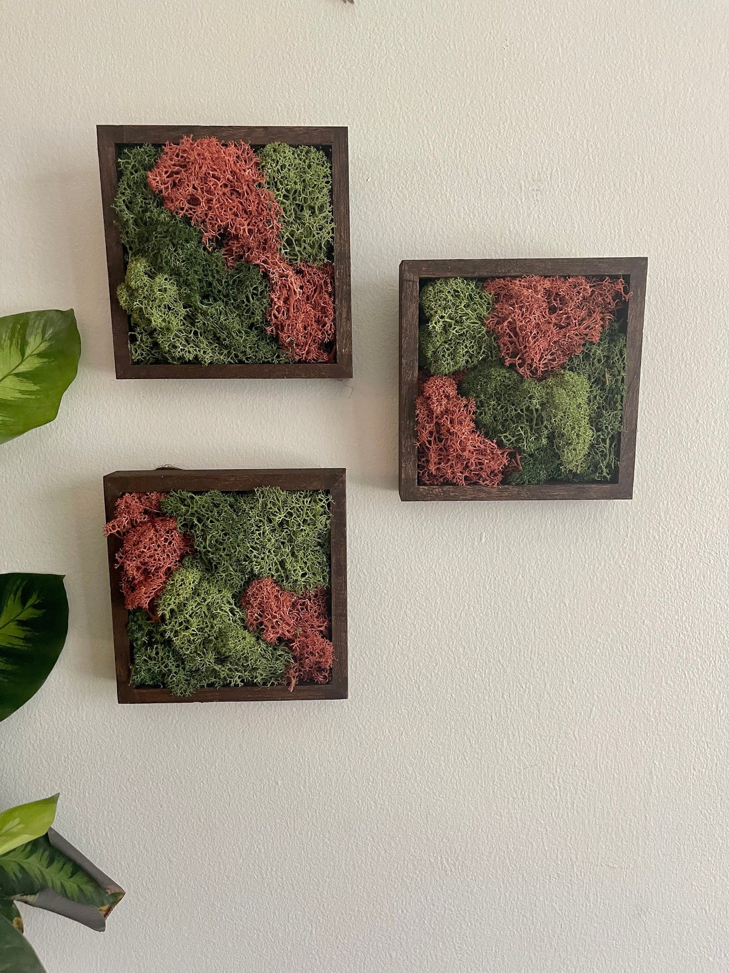 Preserved Reindeer Moss Wall Art: Green & Pink Square Trio | USA - TARIFF FREE