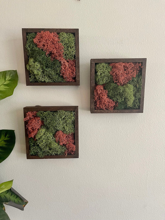 Preserved Reindeer Moss Wall Art: Green & Pink Square Trio | USA - TARIFF FREE