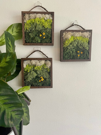 Preserved Reindeer Moss Wall Art: Square Wood Shadowbox | USA - TARIFF FREE
