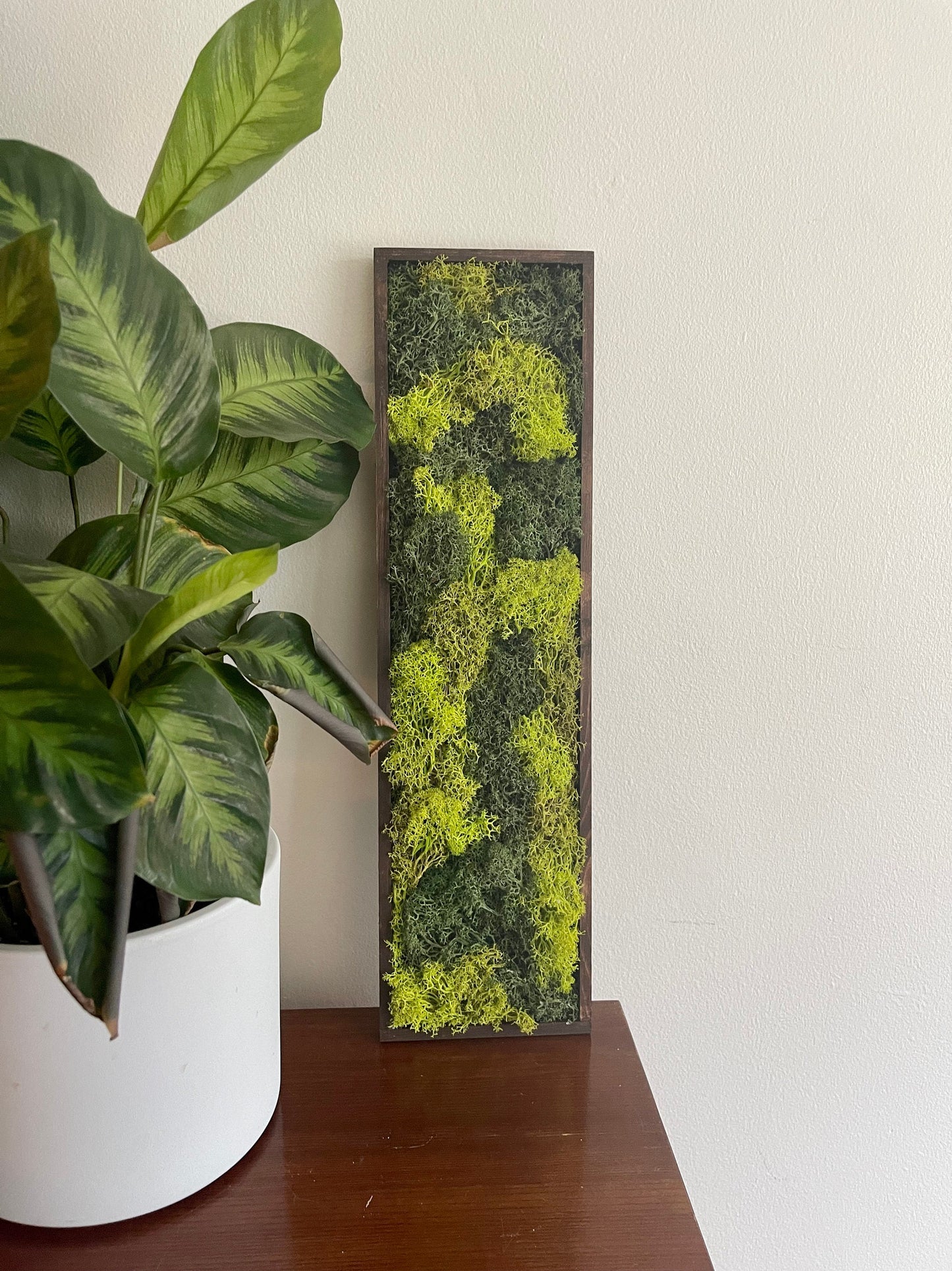 Moss Wall Art | Preserved Moss Art Framed | Moss Wall Decor | Wood Frame | Rectangle Single to Set of Six | Reindeer and Pole Moss