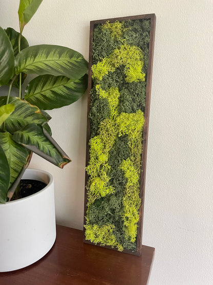 Framed Preserved Reindeer Moss Wall Art: Wood Frame, Natural Home Decor | USA - TARIFF FREE