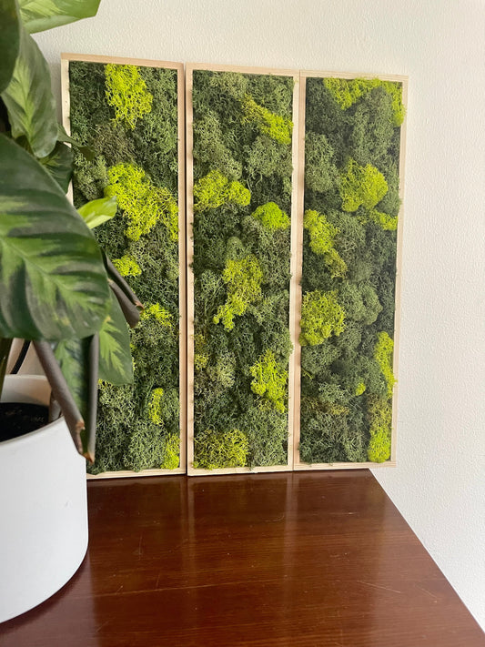 Moss Wall Art | Moss Wall Decor  | Preserved Moss Art Framed | Moss Wall Sets  | Rectangle Single to set of Six | Green Reindeer Moss