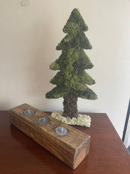 Preserved Moss Pine Tree |  Home  Decor  | Christmas Tree | Green