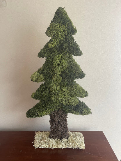 Preserved Moss Pine Tree |  Home  Decor  | Christmas Tree | Green