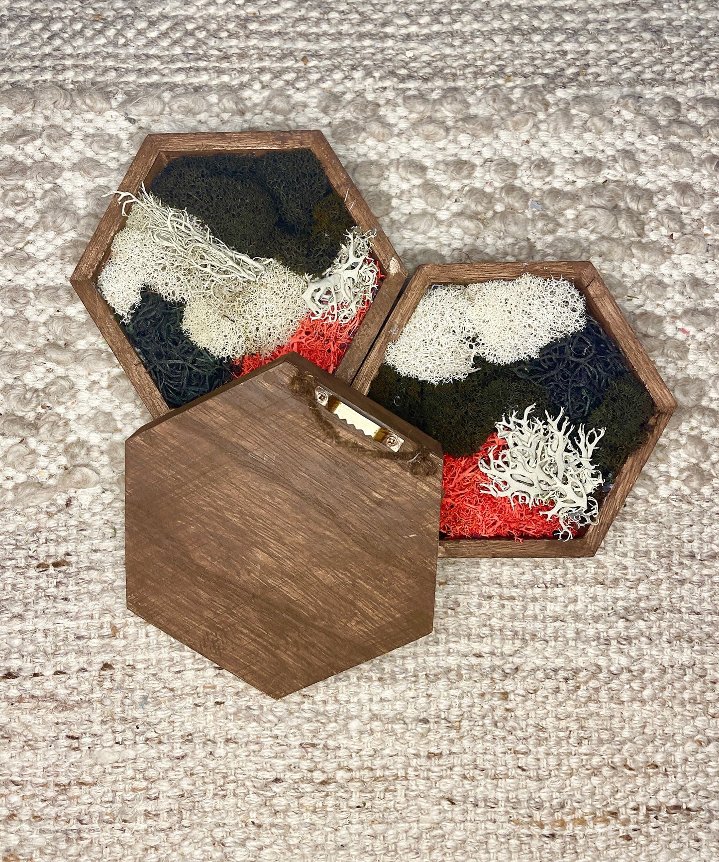 Honeycomb Moss Wall Art | Reindeer Moss, Wood Hexagon Decor