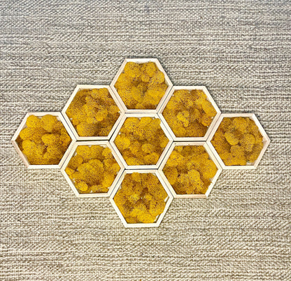 Honeycomb Preserved Moss Wall Art: Vibrant Home Decor | USA - TARIFF FREE