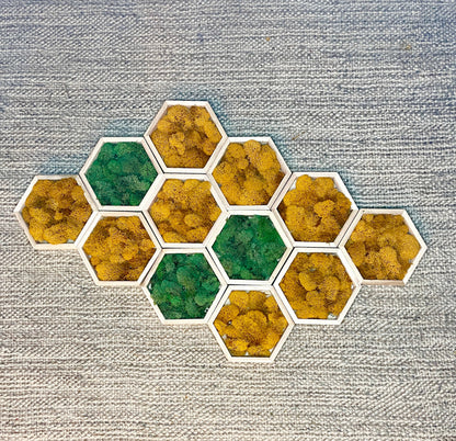 Honeycomb Preserved Moss Wall Art: Vibrant Home Decor | USA - TARIFF FREE