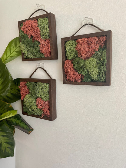 Preserved Reindeer Moss Wall Art: Green & Pink Square Trio | USA - TARIFF FREE