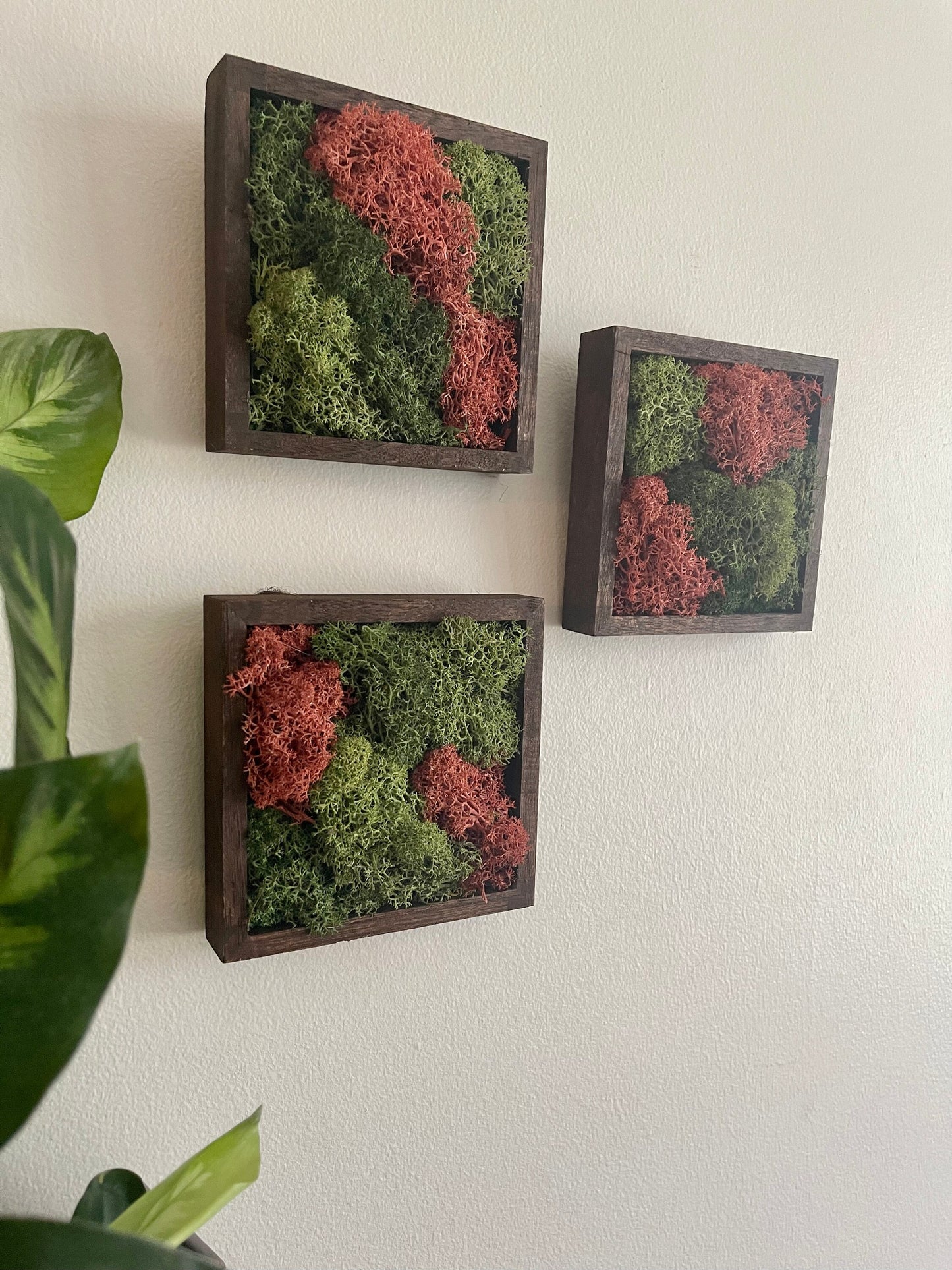 Preserved Reindeer Moss Wall Art: Green & Pink Square Trio | USA - TARIFF FREE