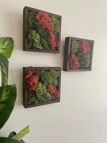 Preserved Reindeer Moss Wall Art: Green & Pink Square Trio | USA - TARIFF FREE