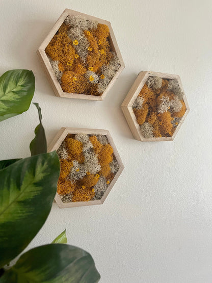 Moss Wall Art | Preserved Moss Wall Decor  |  Moss Home Decor  | Wood Hexagon Honeycomb  | Mustard and White