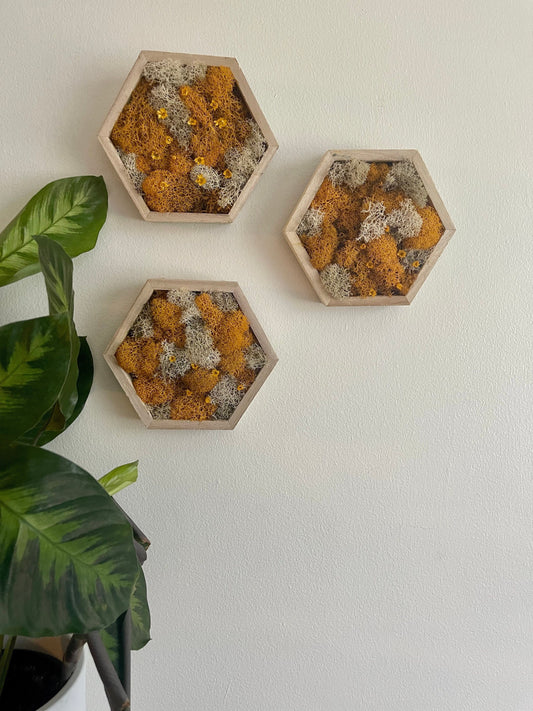 Moss Wall Art | Preserved Moss Wall Decor  |  Moss Home Decor  | Wood Hexagon Honeycomb  | Mustard and White