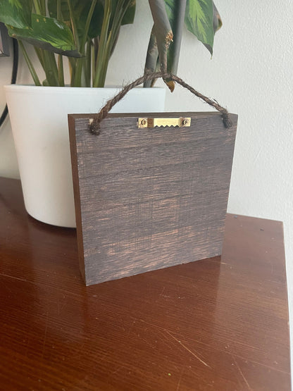 Preserved Moss Wall Art: Square Wood Shadowbox with Reindeer Moss & Fern | USA - TARIFF FREE