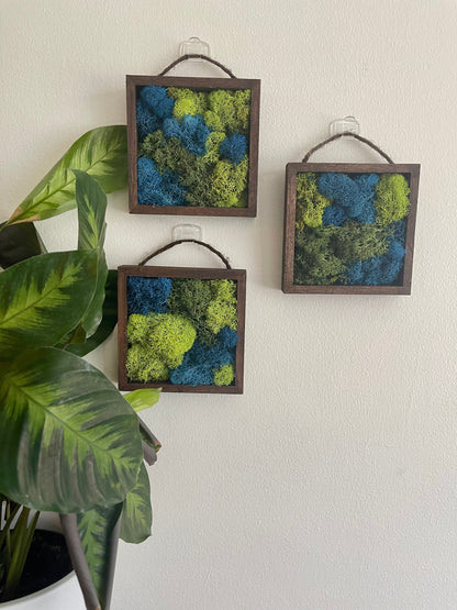 Preserved Reindeer Moss Wall Art: Green & Blue Square Frames | USA - TARIFF FREE