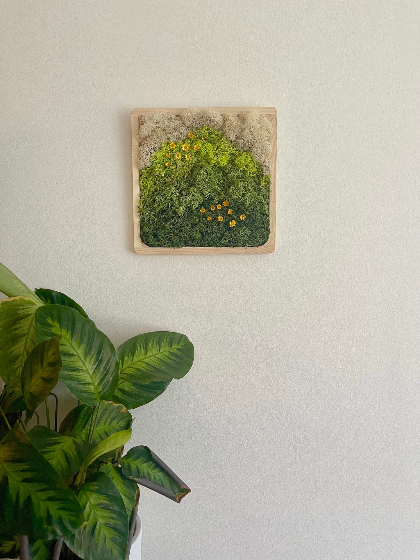 Moss Wall Art | Preserved Moss Art Framed | Square Wood Frame | Green and White with Preserved Flowers