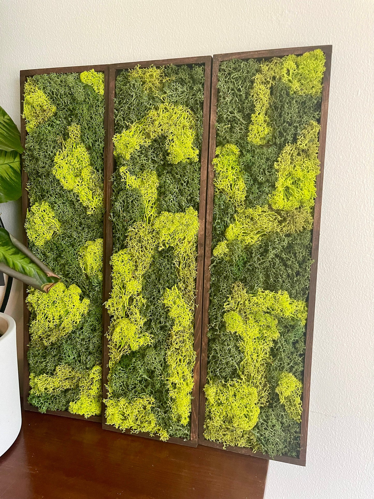 Moss Wall Art | Preserved Moss Art Framed | Moss Wall Decor | Wood Frame | Rectangle Single to Set of Six | Reindeer and Pole Moss
