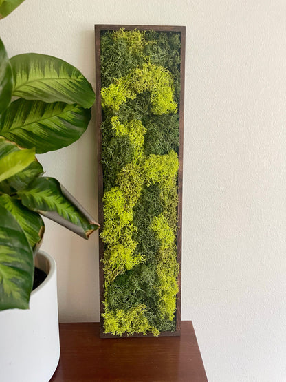 Framed Preserved Reindeer Moss Wall Art: Wood Frame, Natural Home Decor | USA - TARIFF FREE
