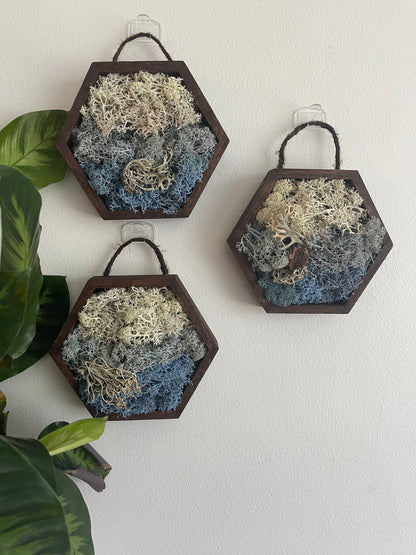 Moss Wall Art | Preserved Reindeer Moss | Wall Decor |  Home Decor | Wood Hexagon | Water Ice Snow | Mothers Day Gift