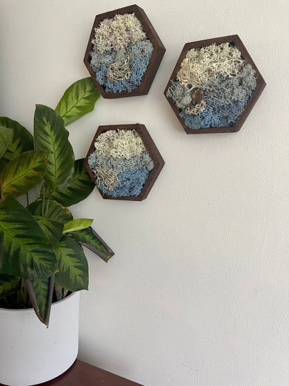 Moss Wall Art | Preserved Reindeer Moss | Wall Decor |  Home Decor | Wood Hexagon | Water Ice Snow | Mothers Day Gift
