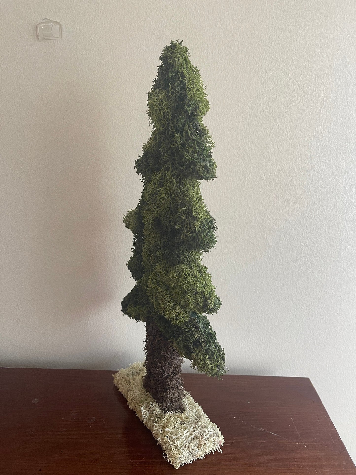 Preserved Moss Pine Tree |  Home  Decor  | Christmas Tree | Green