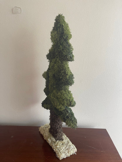 Preserved Moss Pine Tree |  Home  Decor  | Christmas Tree | Green