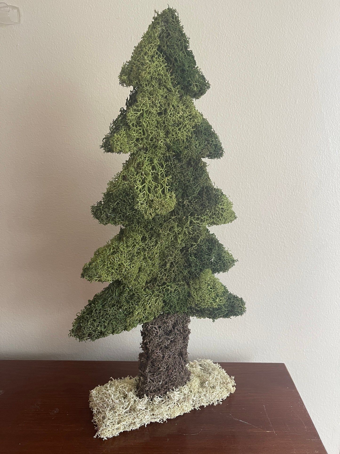 Preserved Moss Pine Tree |  Home  Decor  | Christmas Tree | Green
