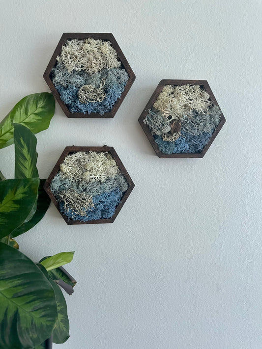 Moss Wall Art | Preserved Reindeer Moss | Wall Decor |  Home Decor | Wood Hexagon | Water Ice Snow | Mothers Day Gift
