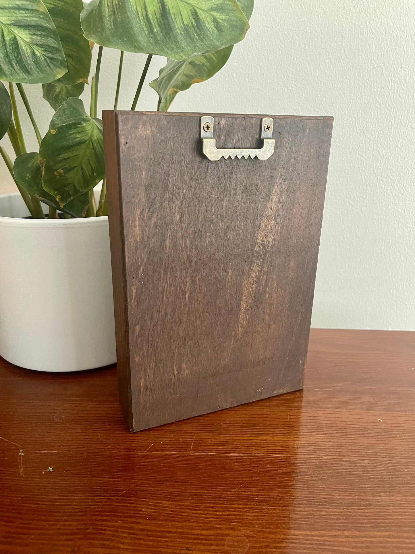 Preserved Reindeer Moss Wall Art: Framed Nature Decor | USA - TARIFF FREE