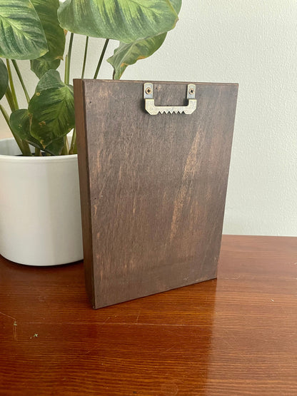 Preserved Reindeer Moss Wall Art: Framed Nature Decor | USA - TARIFF FREE