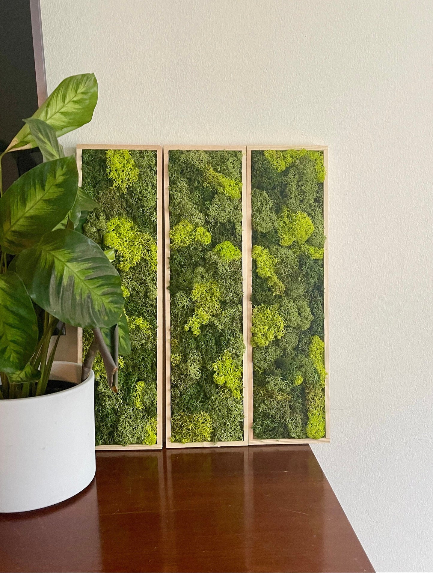 Moss Wall Art | Moss Wall Decor  | Preserved Moss Art Framed | Moss Wall Sets  | Rectangle Single to set of Six | Green Reindeer Moss