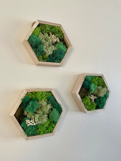 Moss Wall Art  | Honeycomb Moss Single to Set of Twelve  |  Home  Decor  | Wood Hexagon  | Green Grass, Mint, Teal and Beige