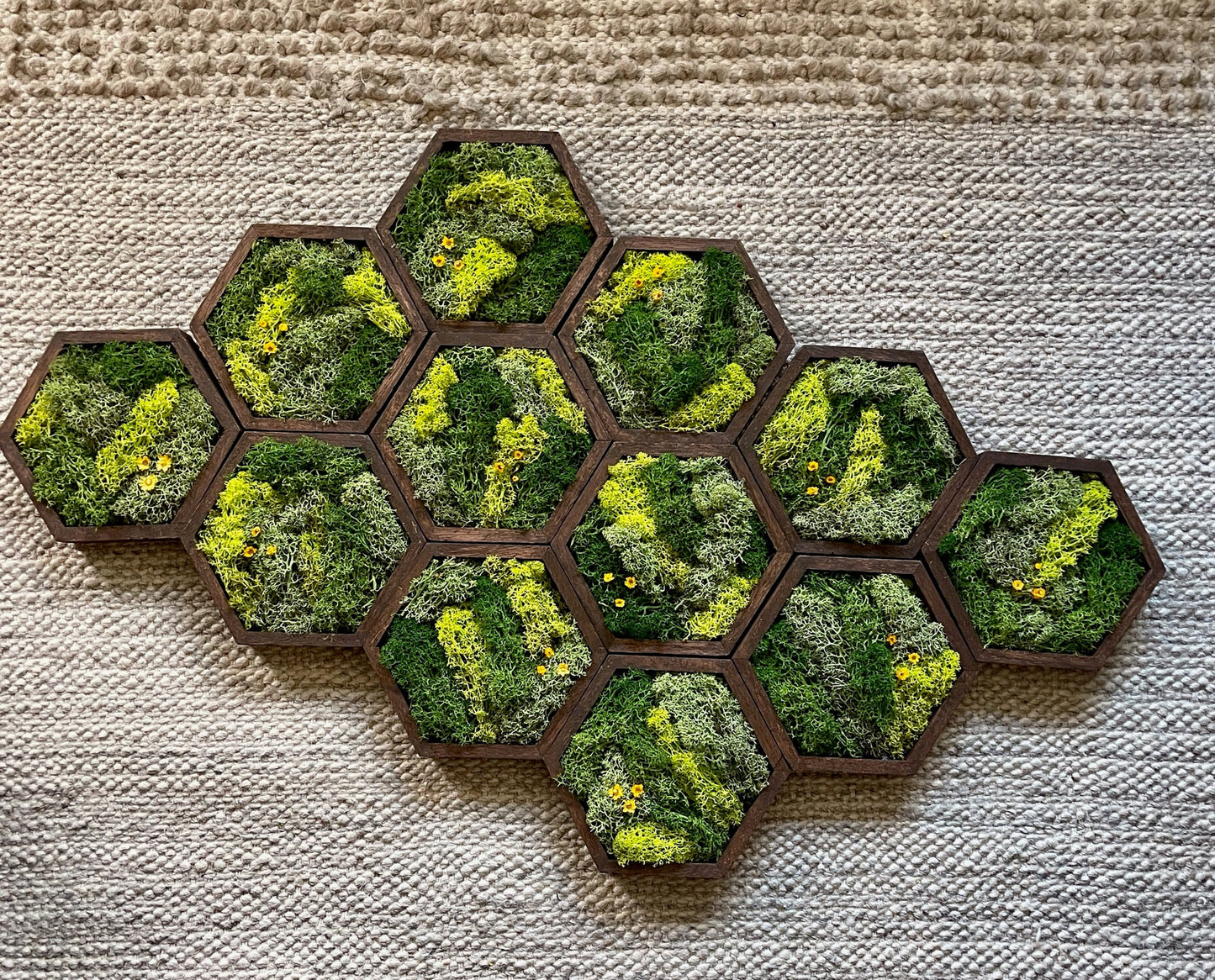 Moss Wall Art | Honeycomb Moss Decor | Single to Set of Twelve | Wood Hexagon  | Preserved Moss | Live Moss | Green with Preserved Flowers