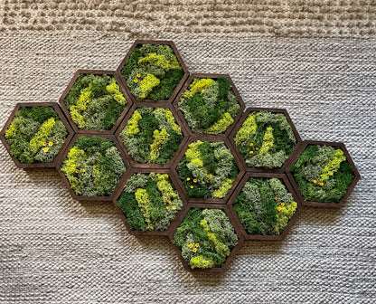 Moss Wall Art | Honeycomb Moss Decor | Single to Set of Twelve | Wood Hexagon  | Preserved Moss | Live Moss | Green with Preserved Flowers