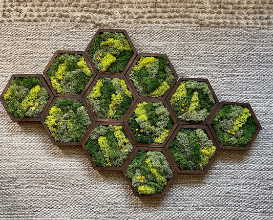 Moss Wall Art | Honeycomb Moss Decor | Single to Set of Twelve | Wood Hexagon  | Preserved Moss | Live Moss | Green with Preserved Flowers