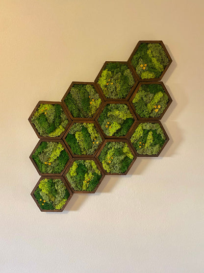 Moss Wall Art | Honeycomb Moss Single to Set of Twelve | Wood Hexagon  | Green with Yellow Preserved Flowers