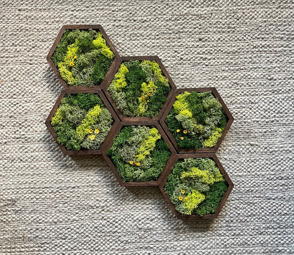 Moss Wall Art | Honeycomb Moss Single to Set of Twelve | Wood Hexagon  | Green with Yellow Preserved Flowers