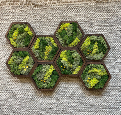 Honeycomb Moss Wall Art: Reindeer Moss & Preserved Flowers, Set of 1 | USA - TARIFF FREE