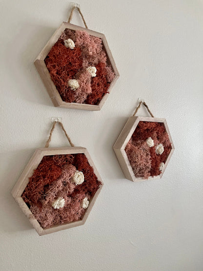 Moss Wall Art | Preserved Moss Wall Decor | Single to Set of Twelve | Wood Hexagon  | Pink and White
