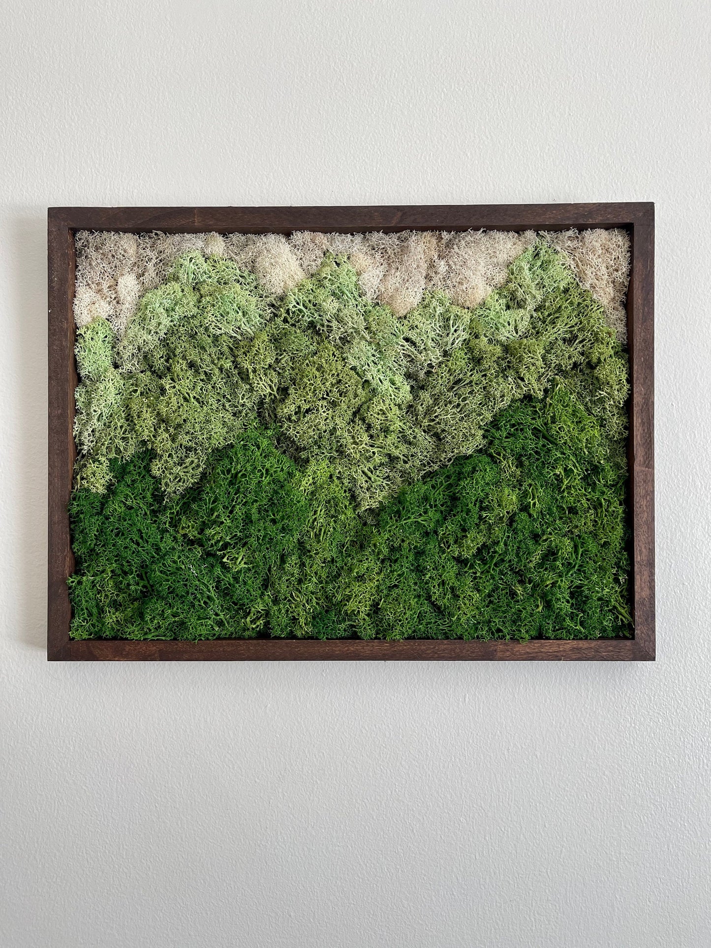Preserved Reindeer Moss Wall Art: Green Mountain Landscape | 12" by 16" | USA - TARIFF FREE