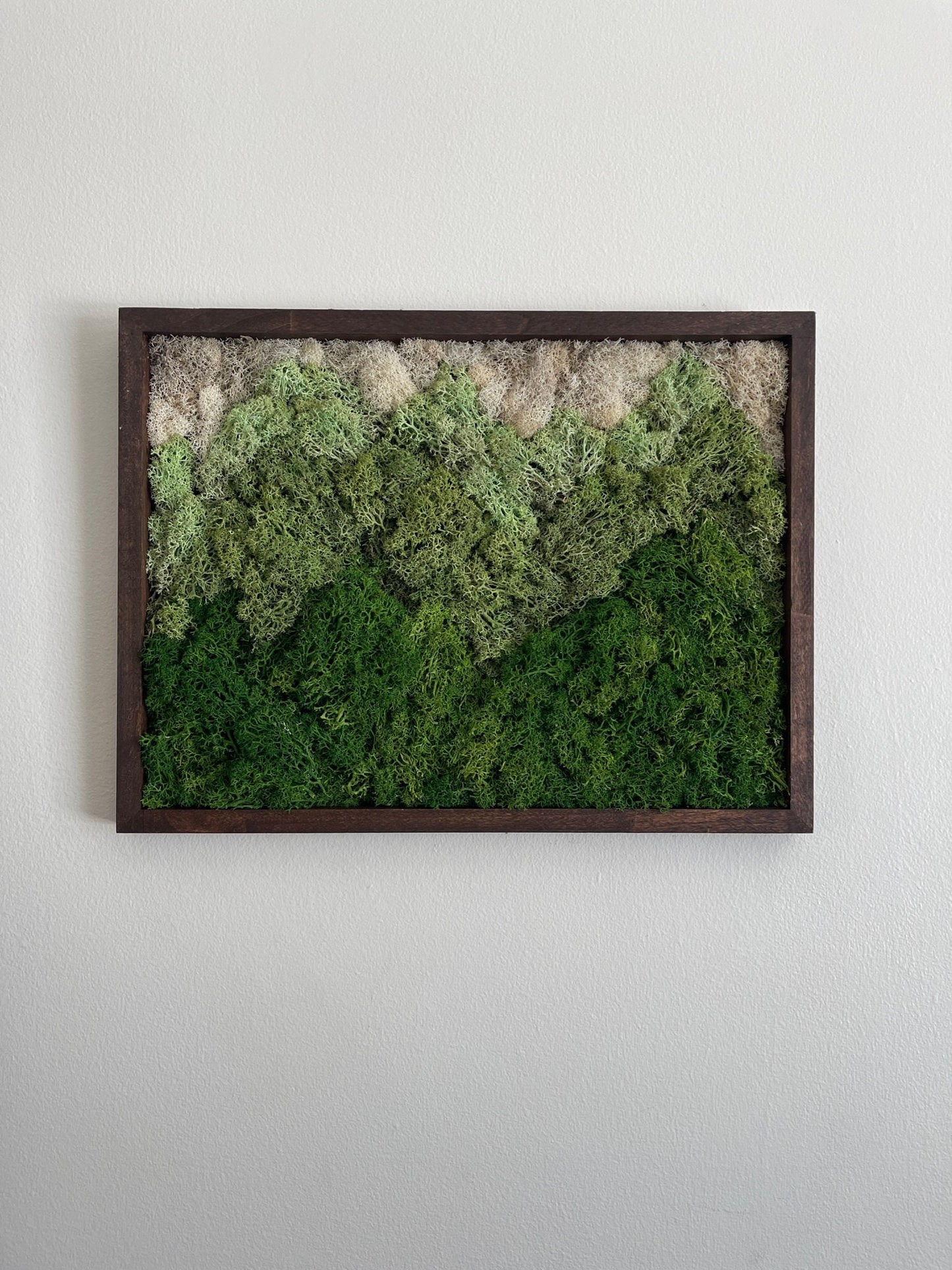 Preserved Reindeer Moss Wall Art: Green Mountain Landscape | 12" by 16" | USA - TARIFF FREE