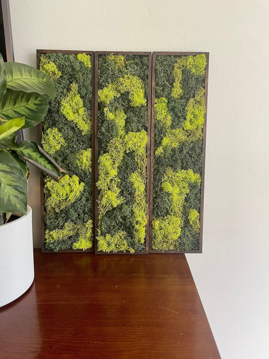 Moss Wall Art | Preserved Moss Art Framed | Moss Wall Decor | Wood Frame | Rectangle Single to Set of Six | Reindeer and Pole Moss