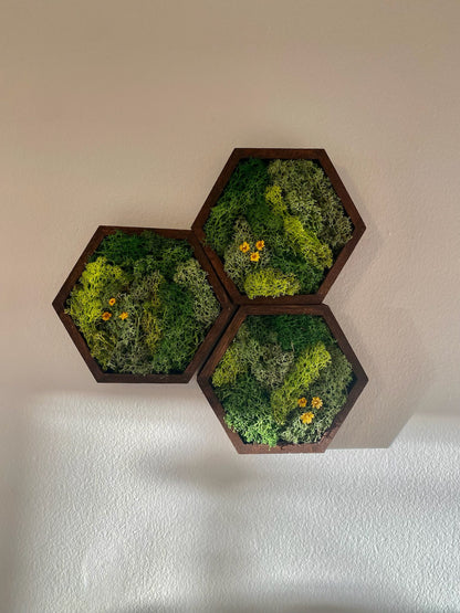 Moss Wall Art | Honeycomb Moss Single to Set of Twelve | Wood Hexagon  | Green with Yellow Preserved Flowers