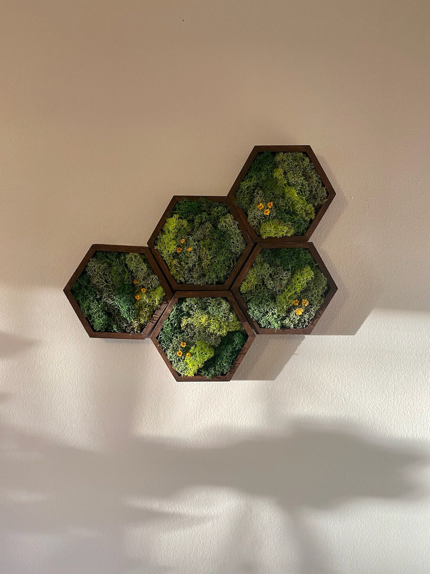 Moss Wall Art | Honeycomb Moss Decor | Single to Set of Twelve | Wood Hexagon  | Preserved Moss | Live Moss | Green with Preserved Flowers