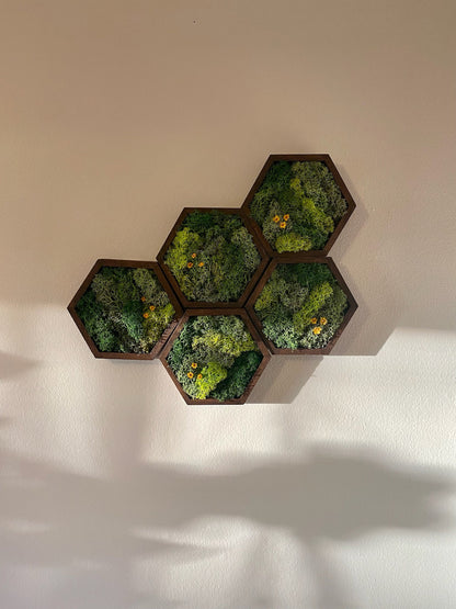 Moss Wall Art | Honeycomb Moss Decor | Single to Set of Twelve | Wood Hexagon  | Preserved Moss | Live Moss | Green with Preserved Flowers