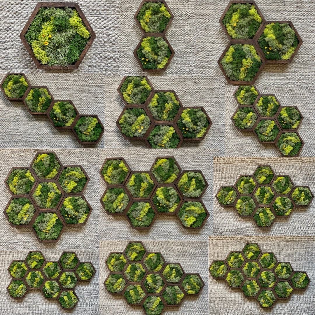 Moss Wall Art | Honeycomb Moss Decor | Single to Set of Twelve | Wood Hexagon  | Preserved Moss | Live Moss | Green with Preserved Flowers