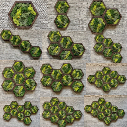 Moss Wall Art | Honeycomb Moss Decor | Single to Set of Twelve | Wood Hexagon  | Preserved Moss | Live Moss | Green with Preserved Flowers