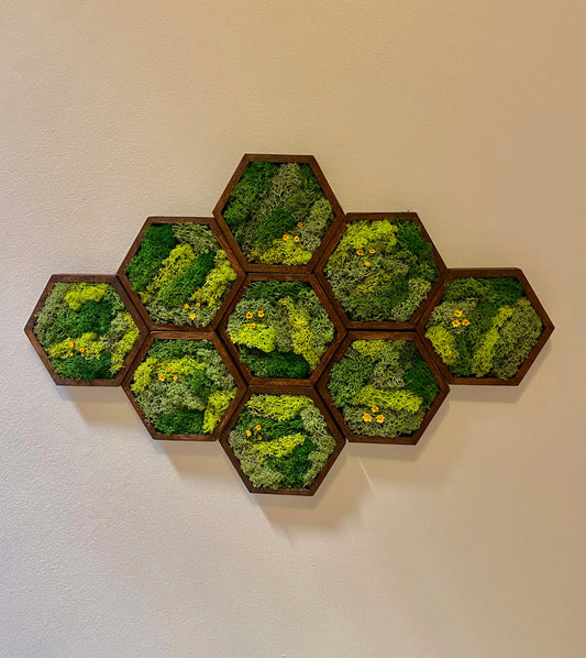 Moss Wall Art | Honeycomb Moss Single to Set of Twelve | Wood Hexagon  | Green with Yellow Preserved Flowers